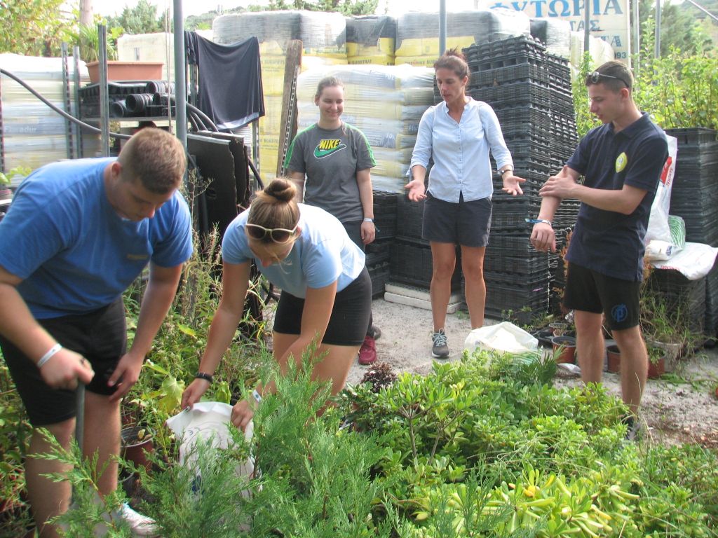 Idén is meghódítjuk Hellászt 2.0