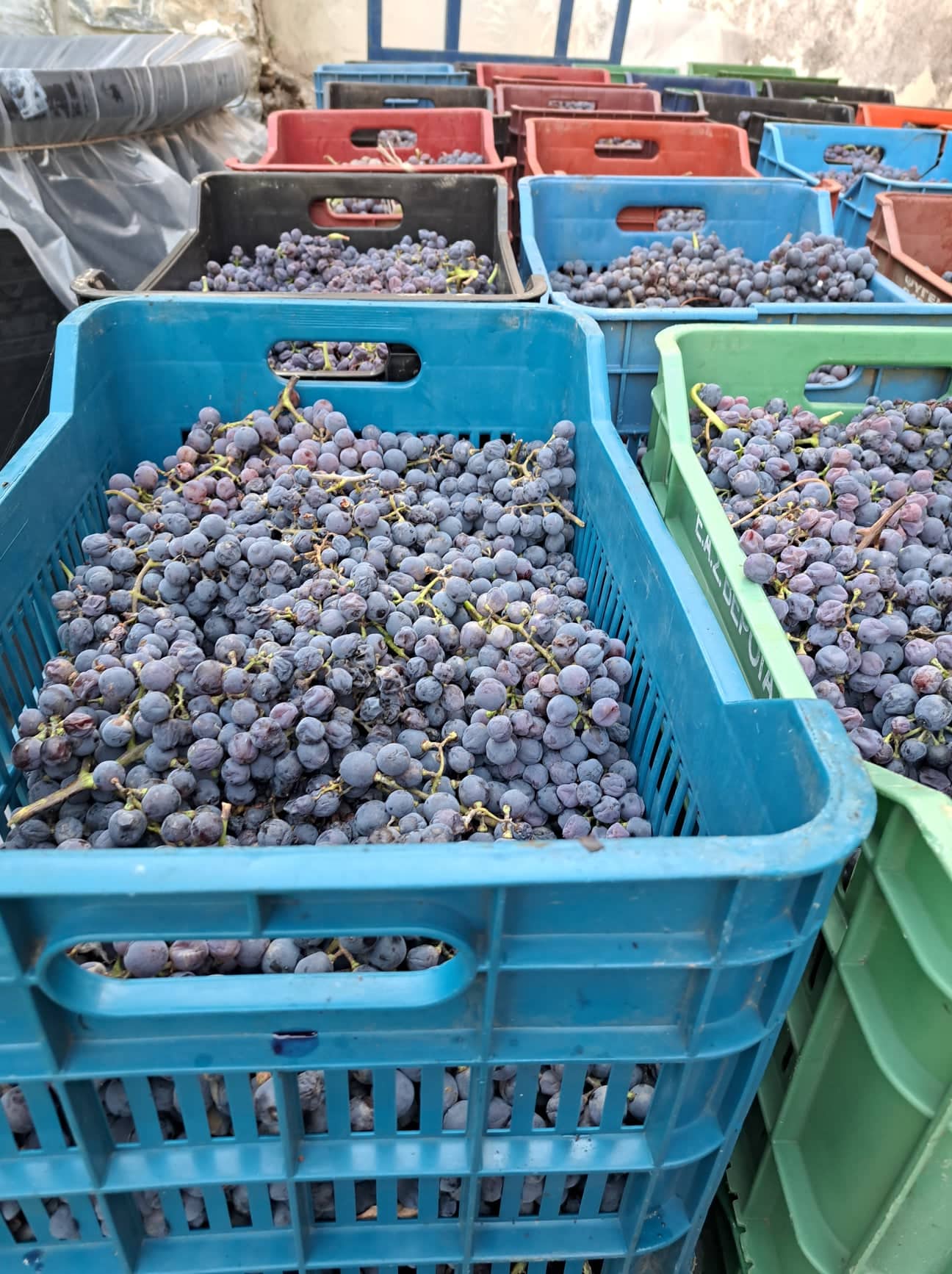 Erasmus - Görögország 2022.10.30.