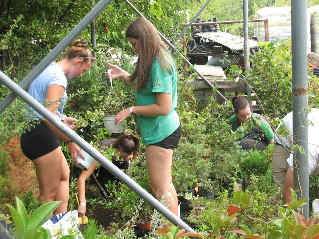 Idén is meghódítjuk Hellászt 2.0