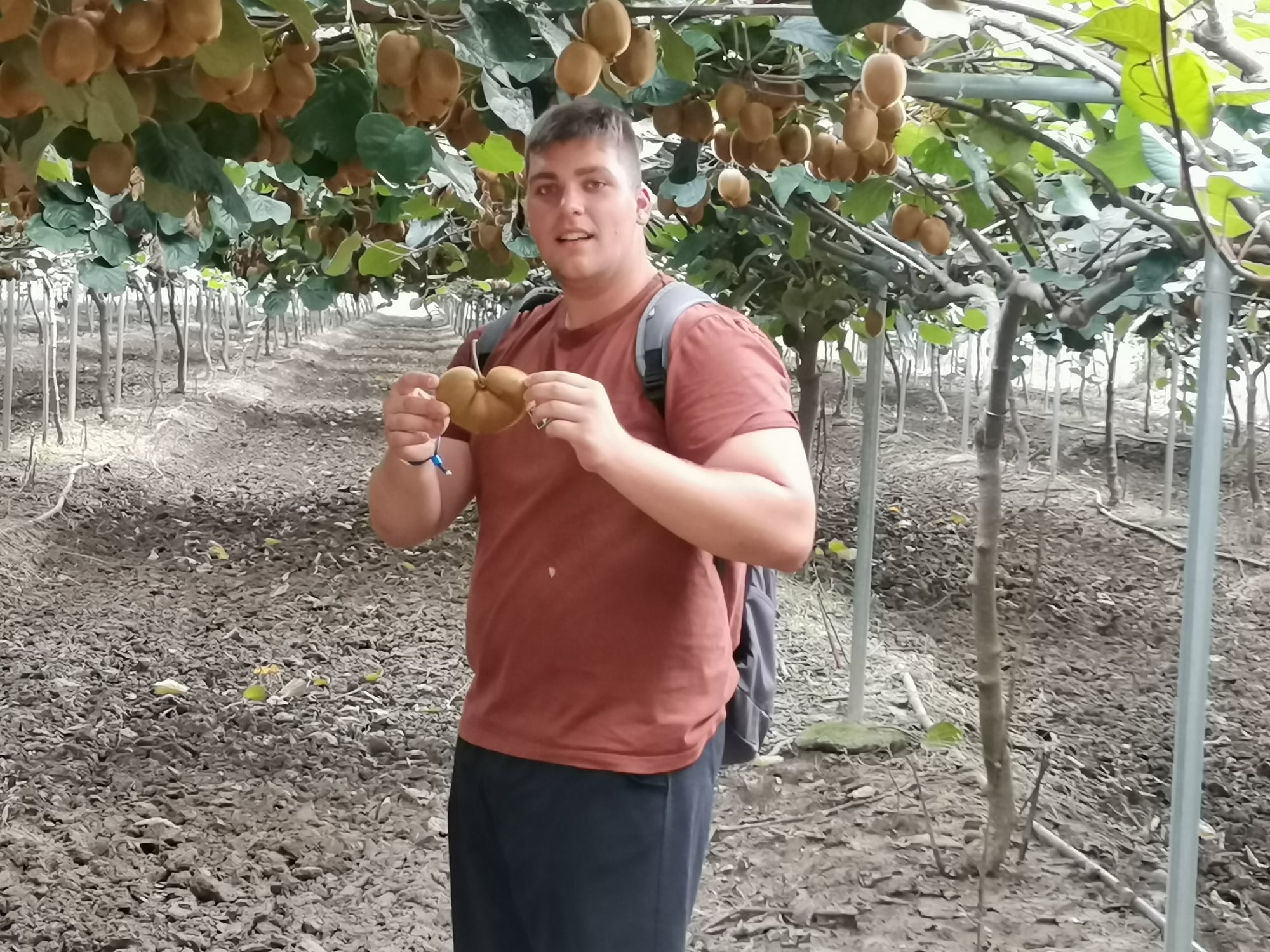 Görögisták 2023.09.29.