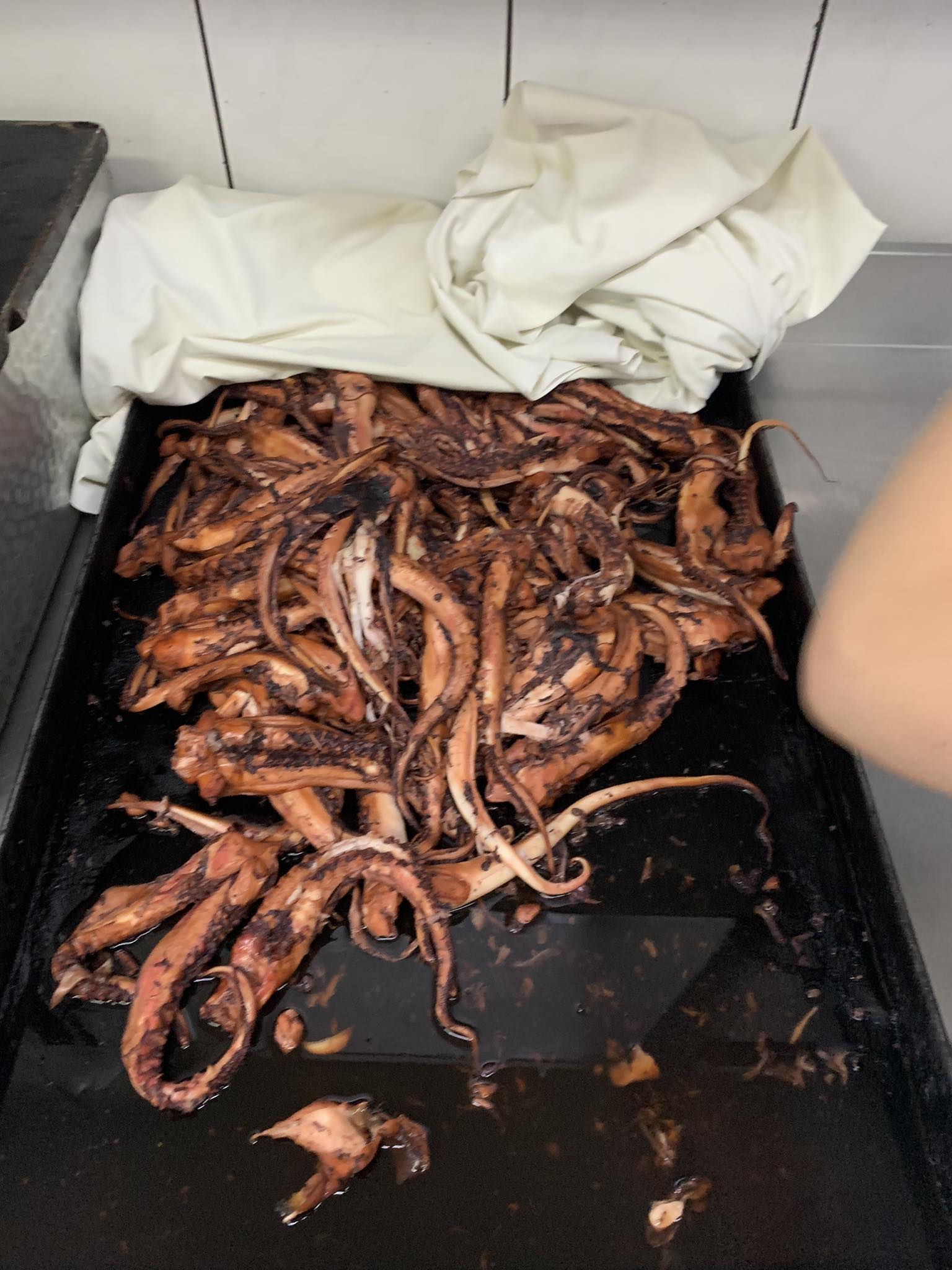 Görögisták 2023.09.29.