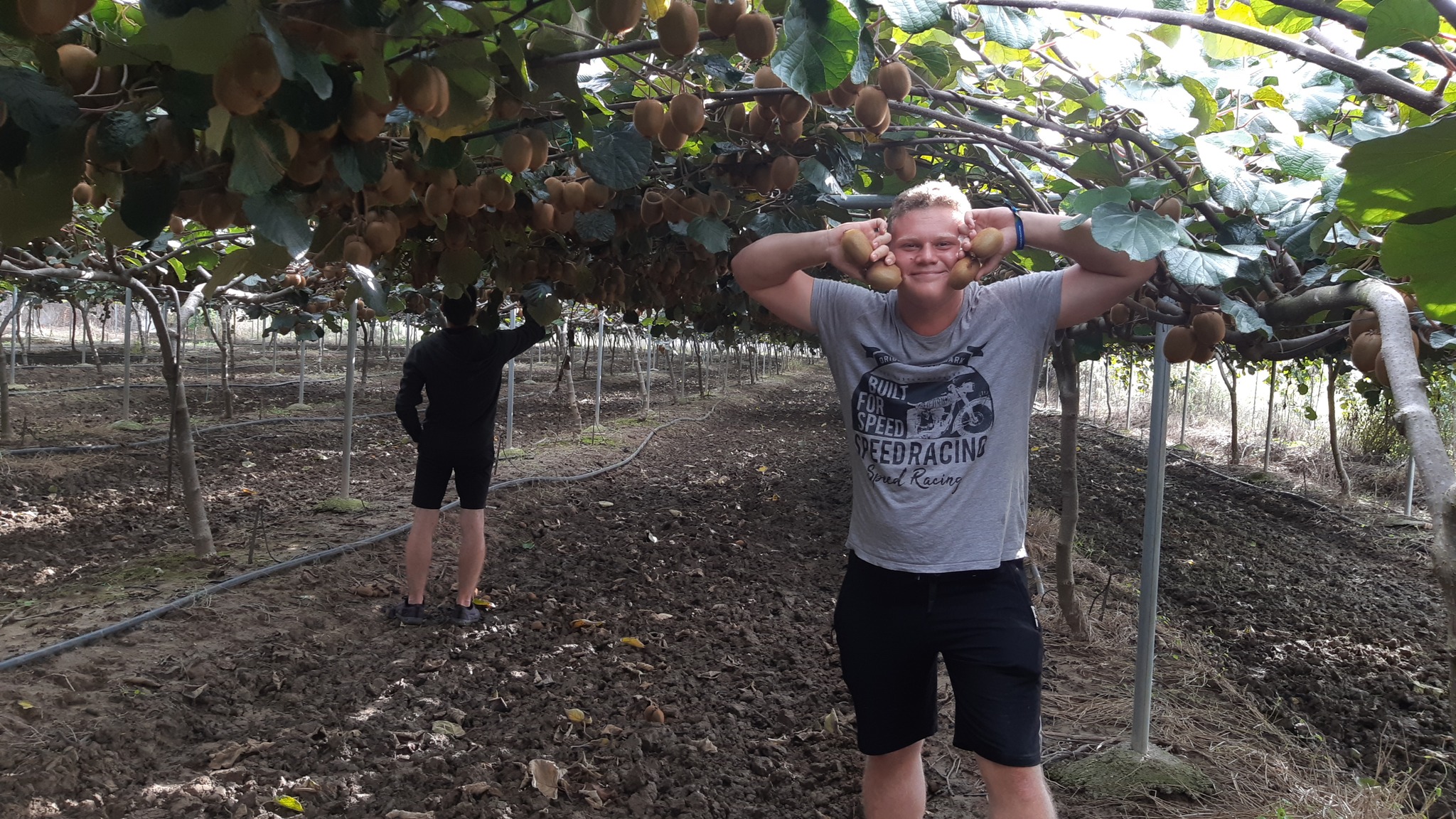 Görögisták 2023.09.29.